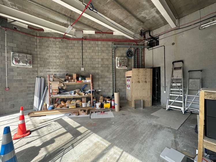 21 Ruru Street Eden Terrace_6