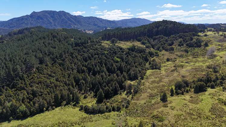 Herekino-Broadwood Road Herekino_1