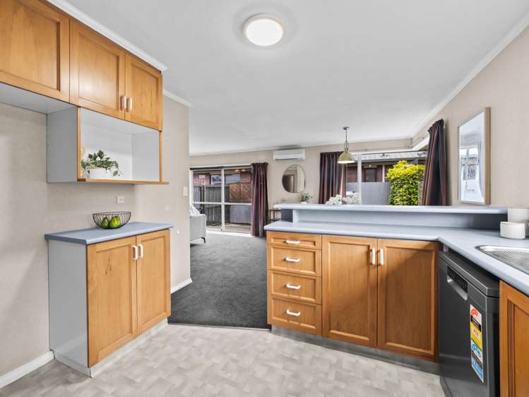 60a Elizabeth Street Allenton_8