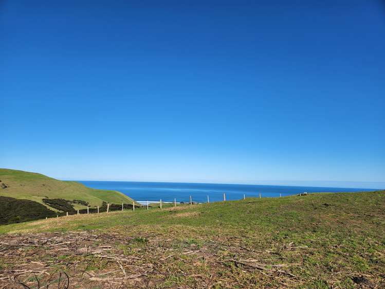 1597 Whaanga Road Raglan_6