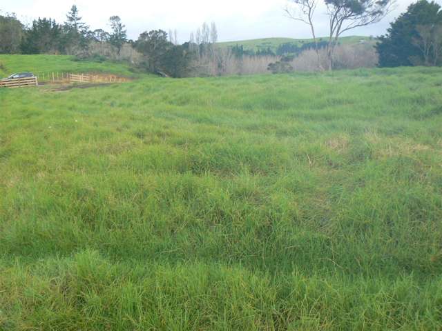 Yellow Blk/00 Doel Road Kawakawa_2