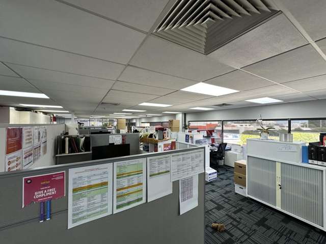 155 New North Road Eden Terrace_2