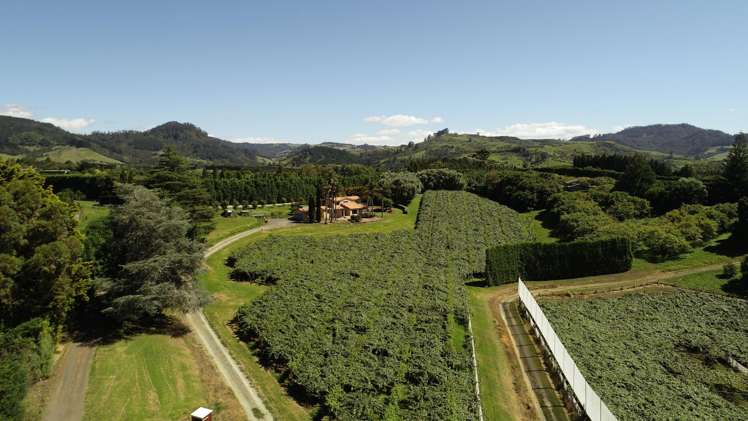 6A Woodland Road Katikati_5