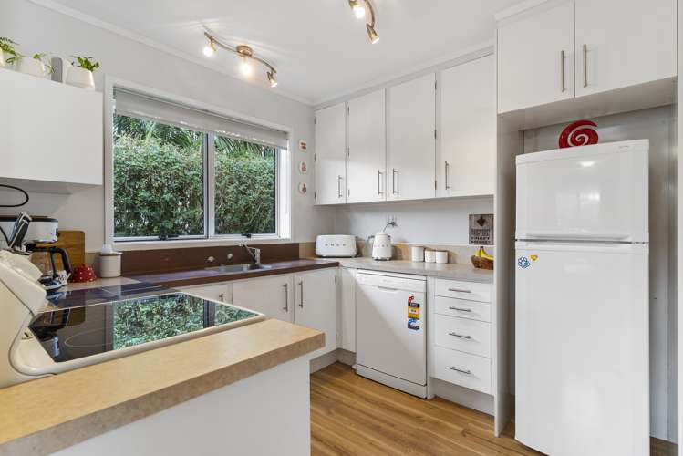 1b Ngatiawa Street One Tree Hill_5