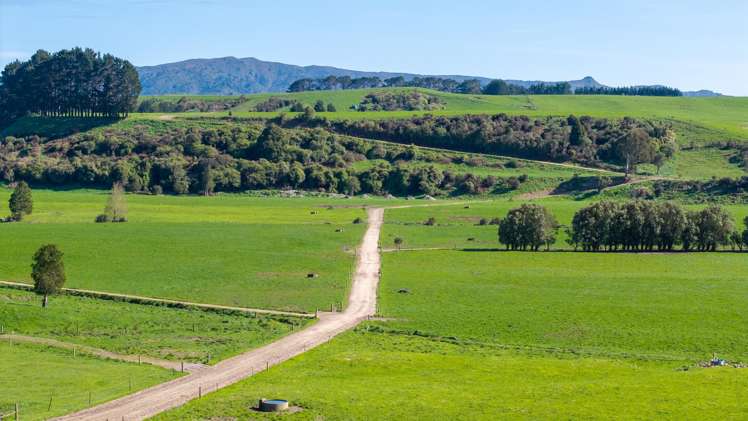 886 Kakariki Road Eketahuna_12