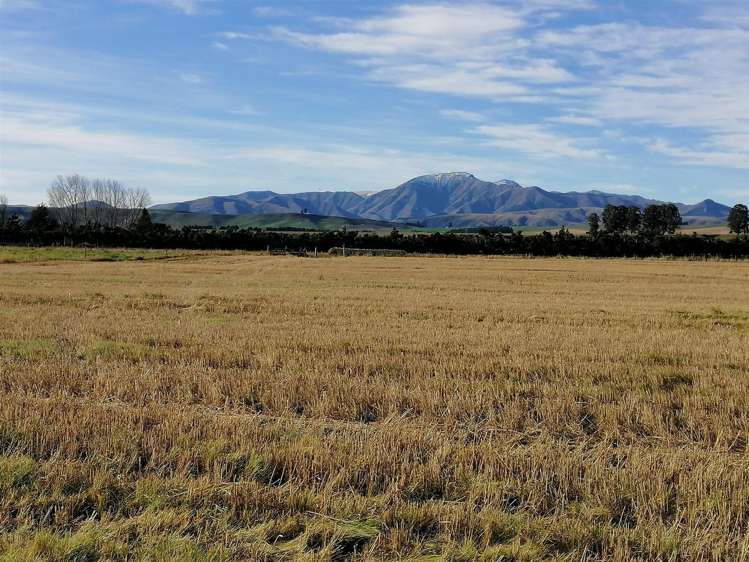 28 Clayton Road Fairlie_7