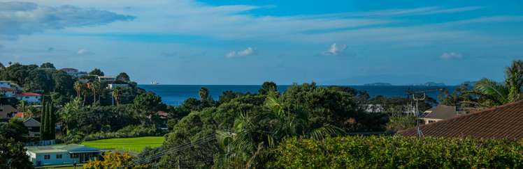 2/3 Seaview Road Milford_29