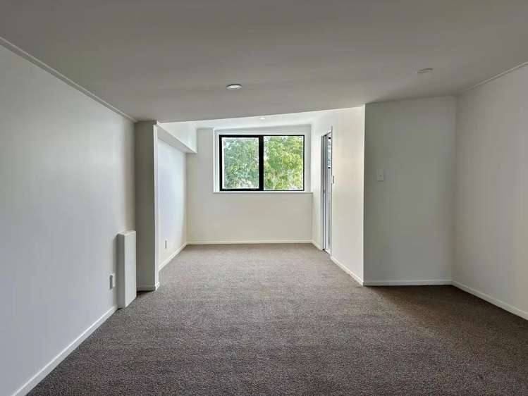 315 Dominion Road Mount Eden_4