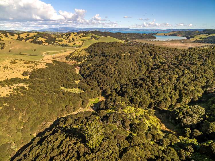 512 Orapiu Road Waiheke Island_0