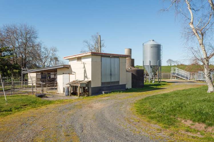 97 Herbert Road Morrinsville_21