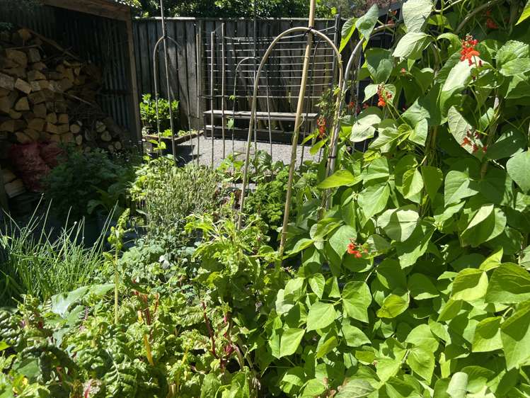 33A Rexwood Street Carterton_31