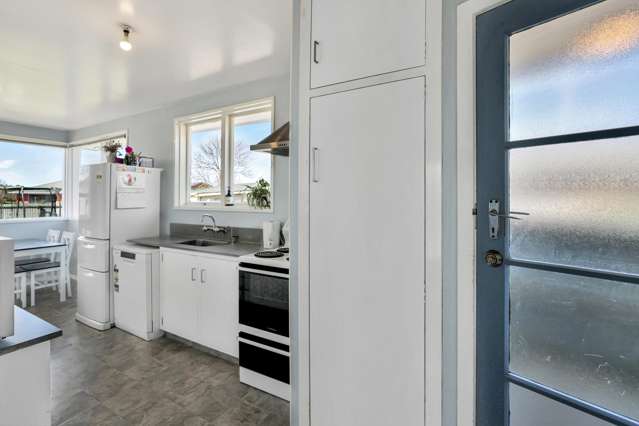 65 George Street Tinwald_4