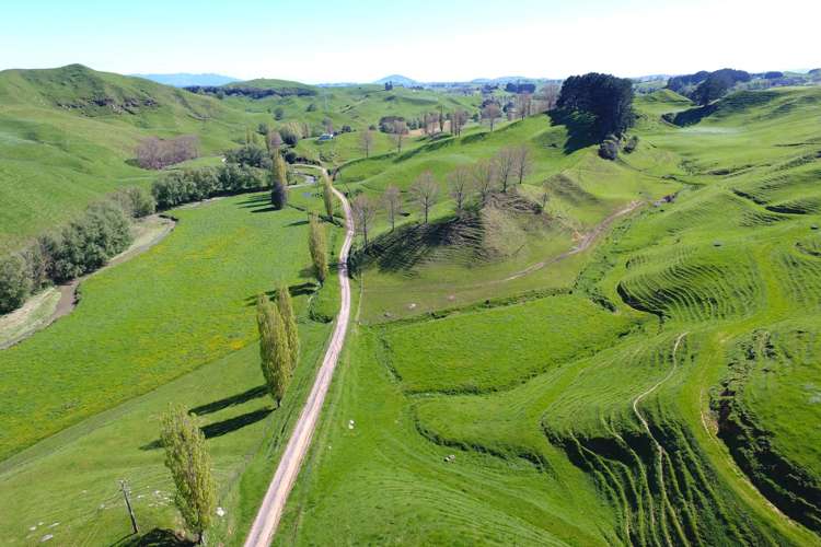 161 Veale Road Otorohanga_30