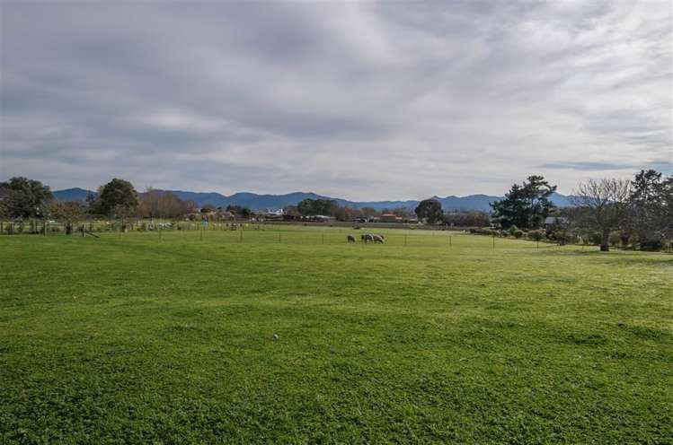 171 Wither Road Witherlea_25