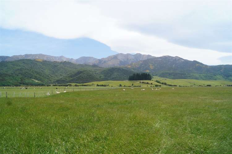 587 Woodbank Road Hanmer Springs_11