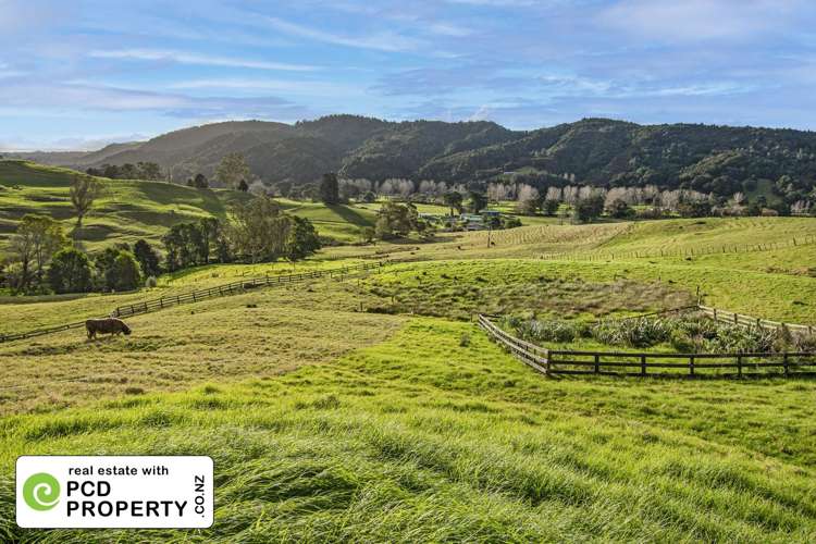 84 Valley View Road Otaika_22