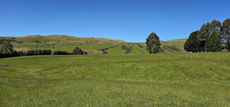 623 Slopedown Road Catlins Surrounds_21