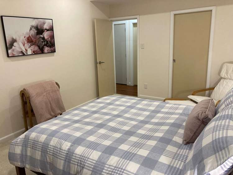 4 Pearce Street Vogeltown_14