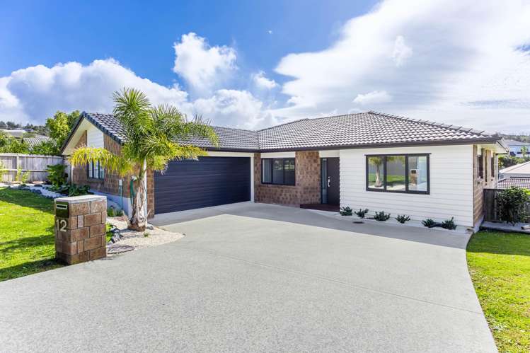 12 Ariel Place Snells Beach_38