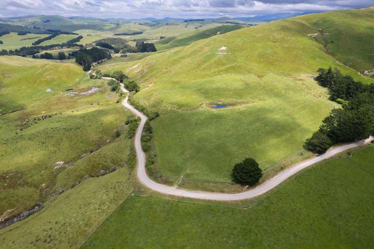 83 Towai Road Dannevirke_25