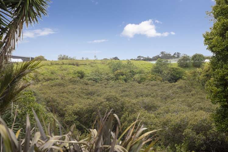 1/105 Moa Road Point Chevalier_12