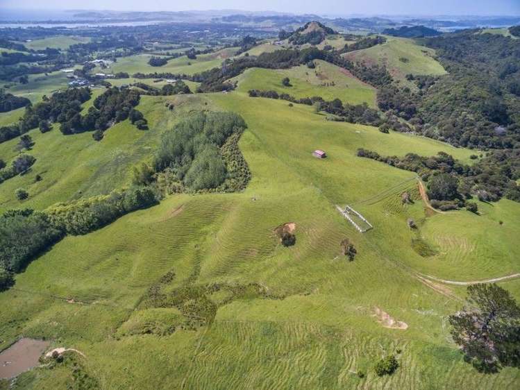 942b Leigh Road Big Omaha_4