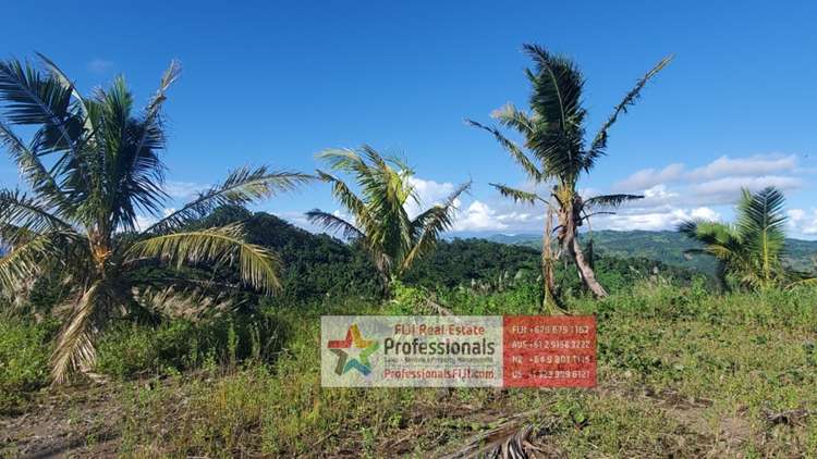 Address withheld Savusavu_14