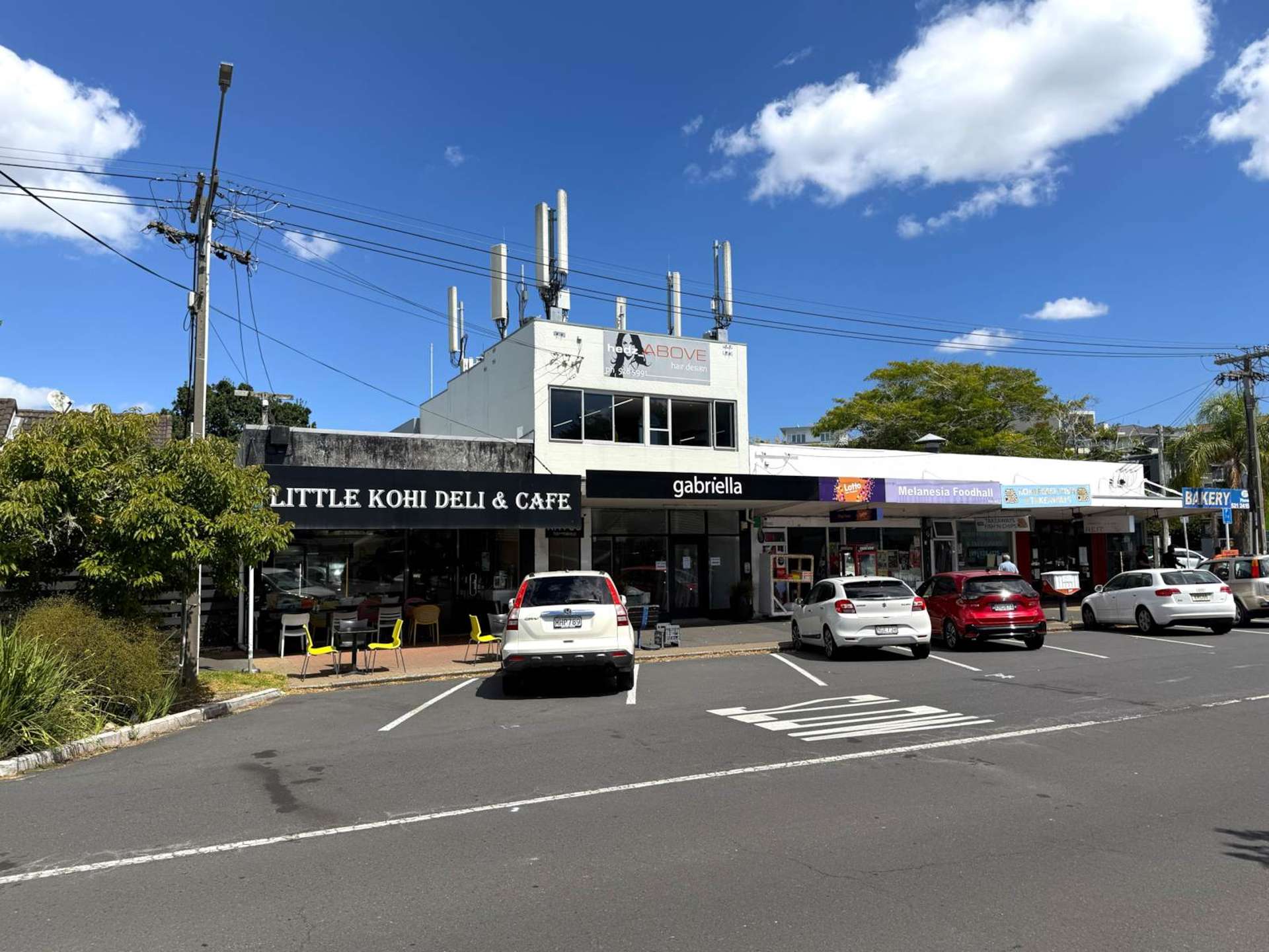 Melanesia Road Kohimarama_0
