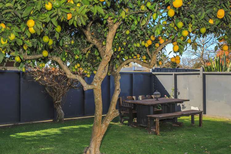 500 Hart Place Frimley_18