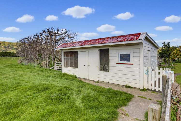 915 State Highway 57 Levin_10