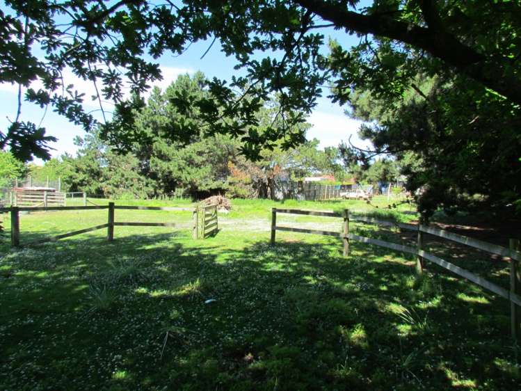 11 Petticoat Lane Doyleston_16