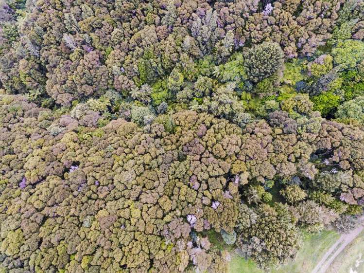 509a Old Maratoto Road Hikutaia_11