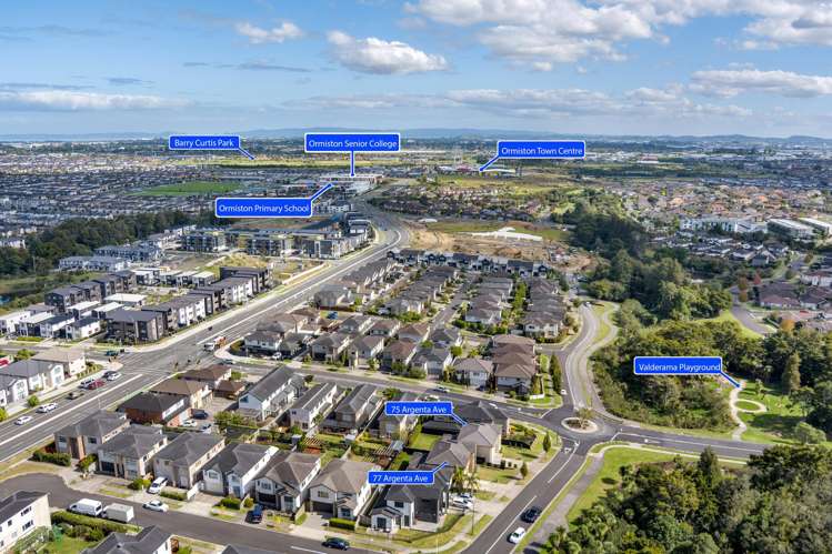 75 Argento Avenue Flat Bush_39