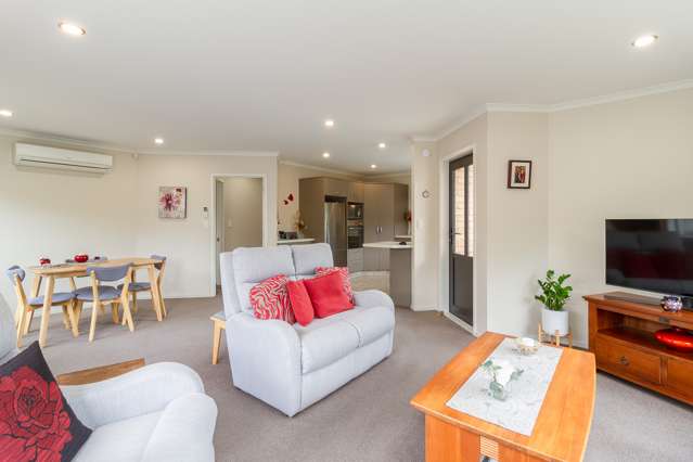 23a White Street Taradale_4