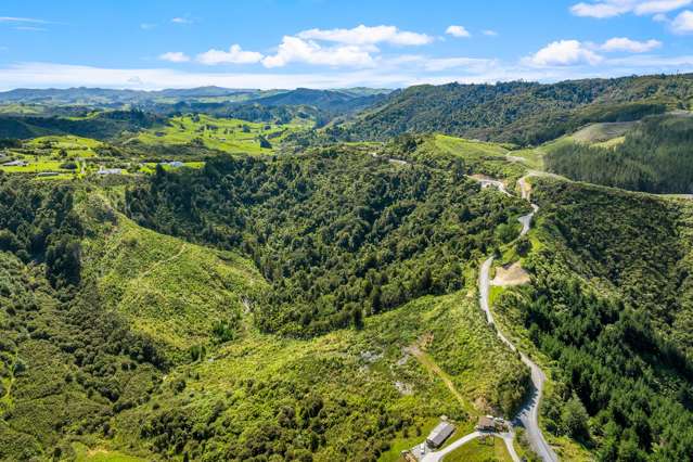 Dream Big: Puhoi Hilltop Haven