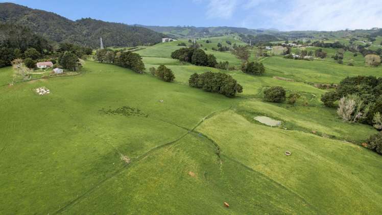 2051 Paparoa-Oakleigh Road Taipuha_12