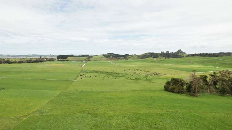 220 Blong Road Ruawai_6