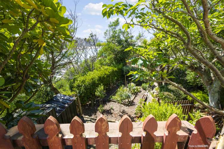 131 Hornsey Road Melrose_10