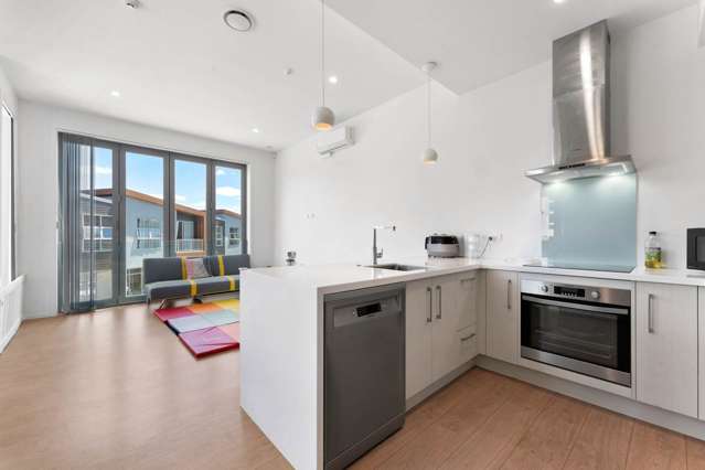 B1/18 Oteha Valley Road Extension Albany_4