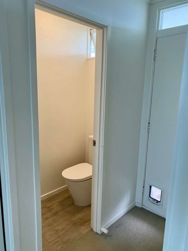 10/2 Cowie Street Parnell_14