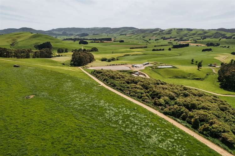 101 Logan Road Owaka Valley_4