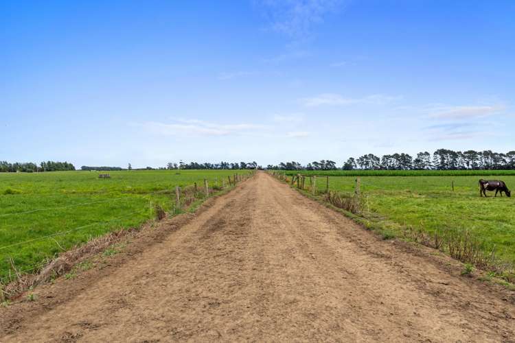 51a Waverley Road Gordonton_28