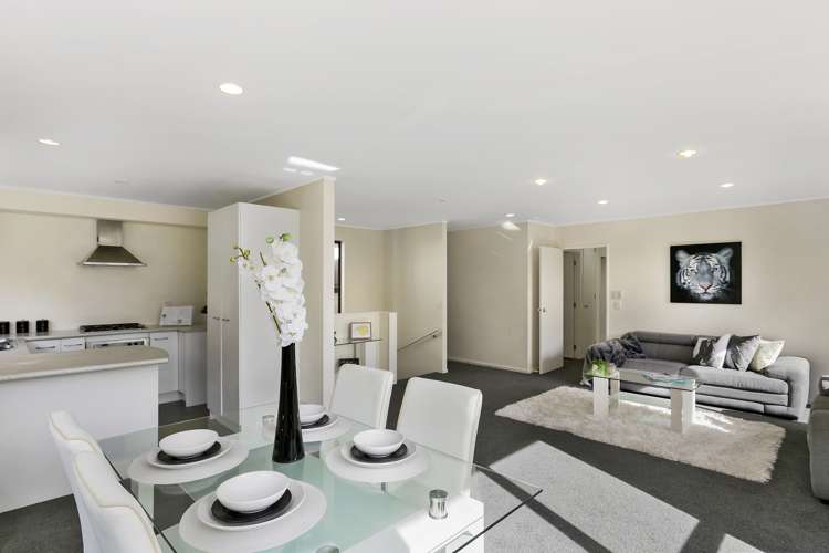 90b Holloway Road Aro Valley_5