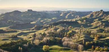 1387 Tuki Tuki Road_3