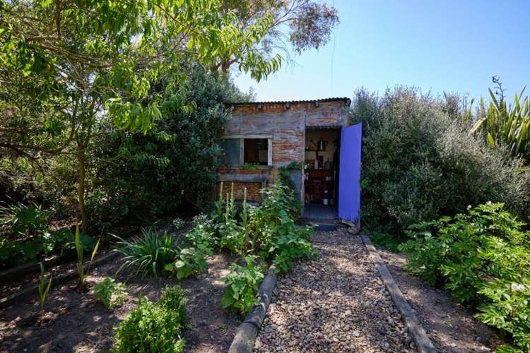 42 Mina Road Cheviot_10