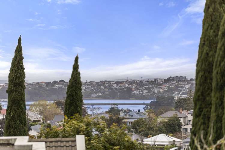 2d/18 Joseph Banks Terrace Remuera_15