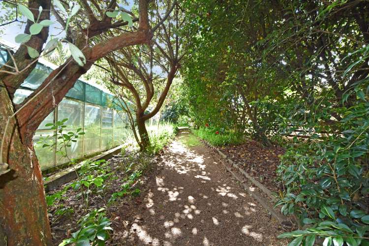 11 Linley Terrace Judea_19