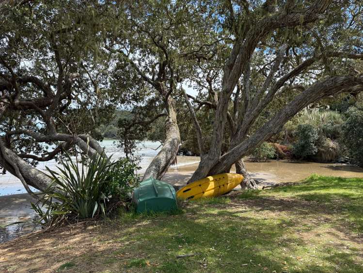 16 Hihi Beach Road Hihi_35