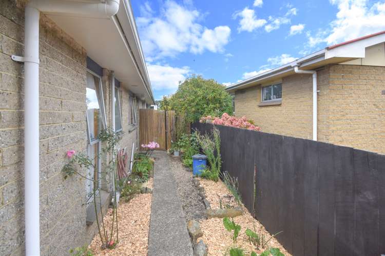 28b David Street Caversham_10