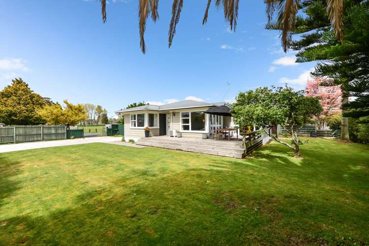 70 Livingstone Avenue Nawton_17